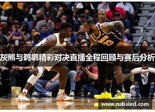 灰熊与鹈鹕精彩对决直播全程回顾与赛后分析